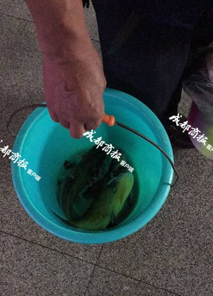 丝袜脚 好紧 老师别夹