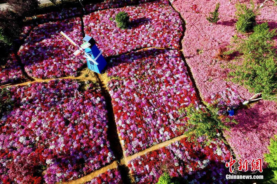国产嫩草影院 精灵九色