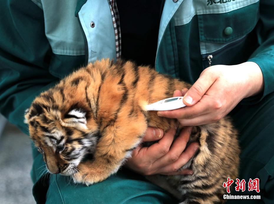 一区二区三区亚洲