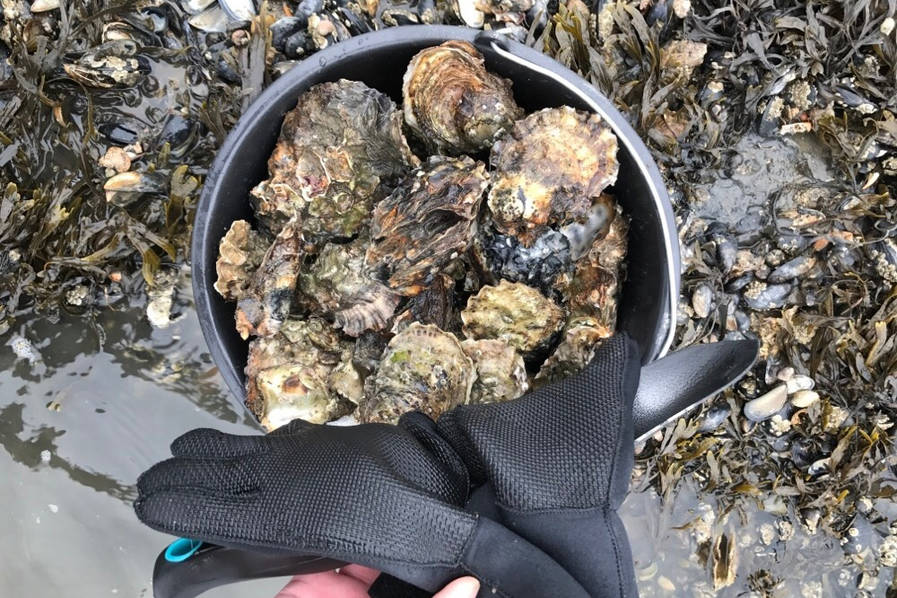 黑 丝 色情 视频