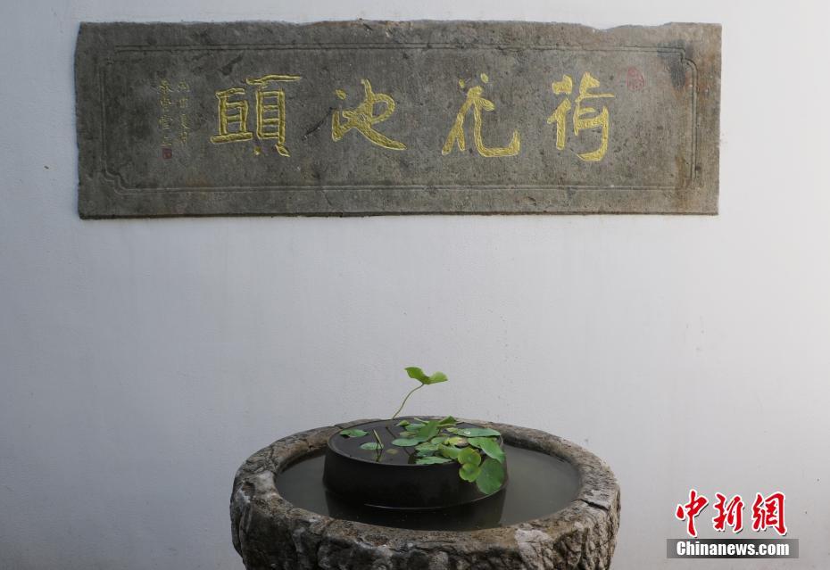 奶奶让孙子操她