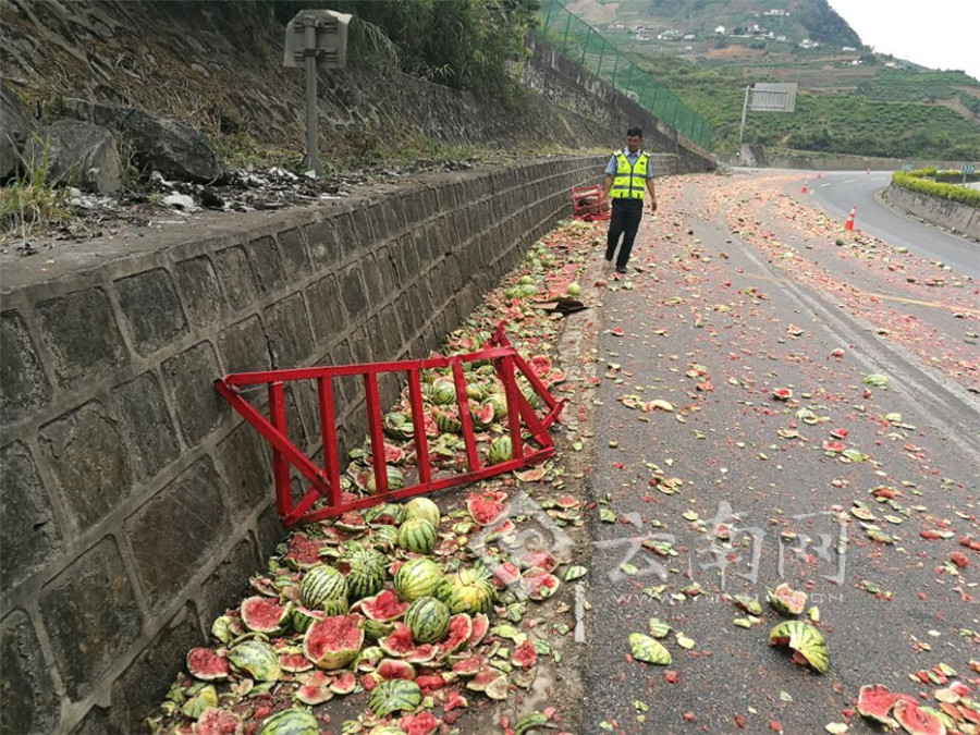 美国女人与狗操B视频