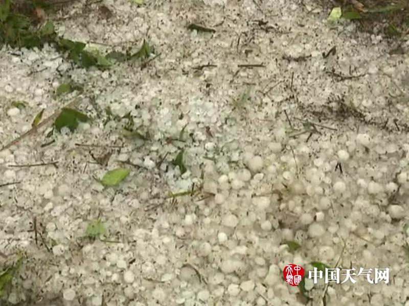 黑人大屌另类黄色网站