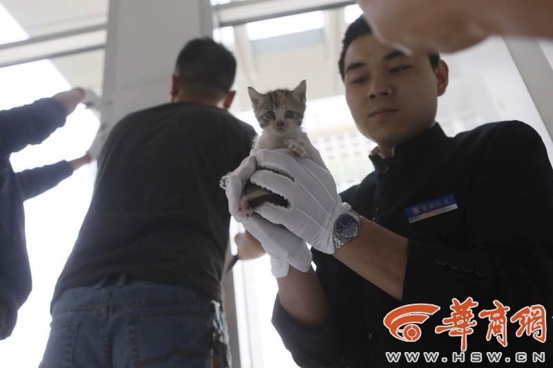 欧州肥婆性爰