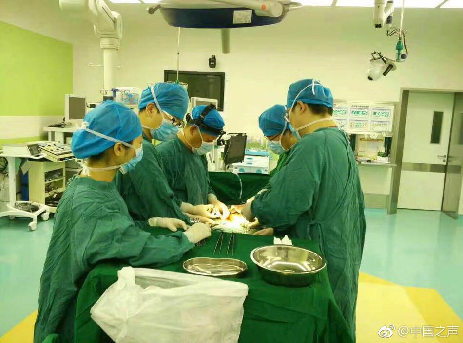 最新 性 视频
