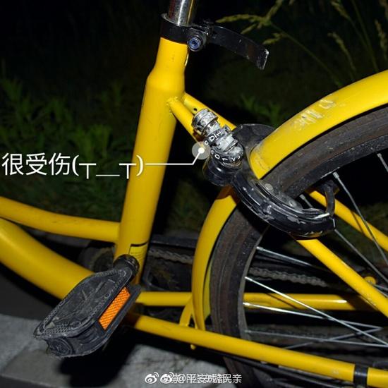成人 色情 Av