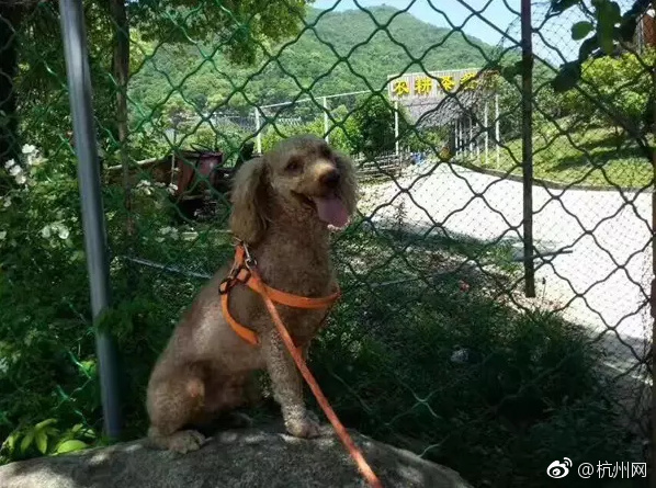 亚洲综合社区