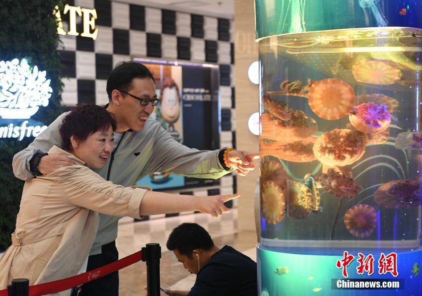 潘金莲一夜被爽了八次