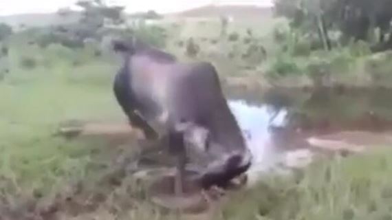 色秀直播