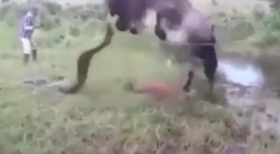 性愛招式
