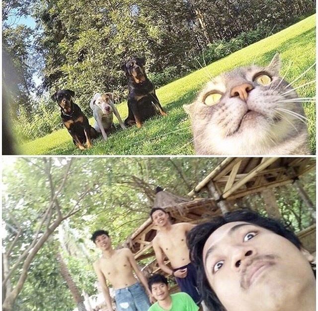 精品成人
