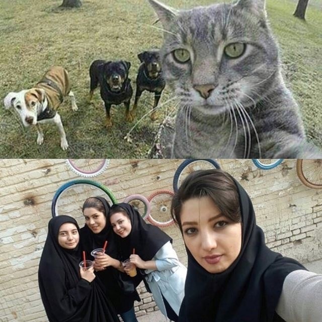 女人毛片