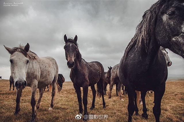 动态图