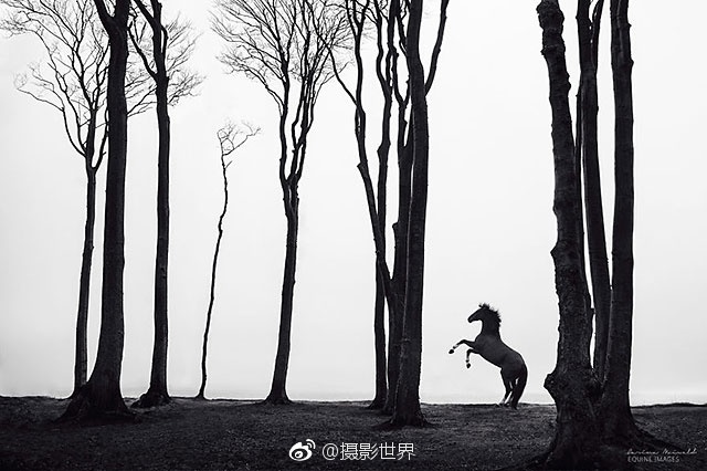 91娇喘    白丝动漫