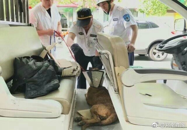 变态 国产 另类 捆绑