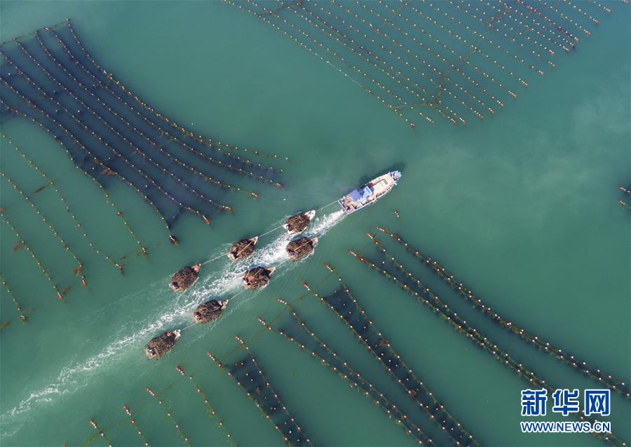 捆绑白丝jk双脚吊起