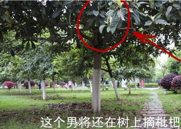 Lubuntu在线观看免费版