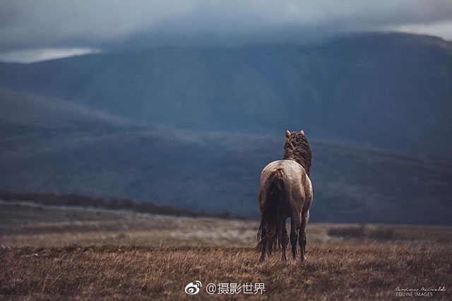 JuliaAnn色情成人片