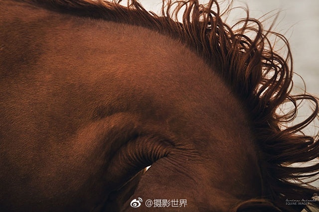 大神近距离全景侧拍微博分享