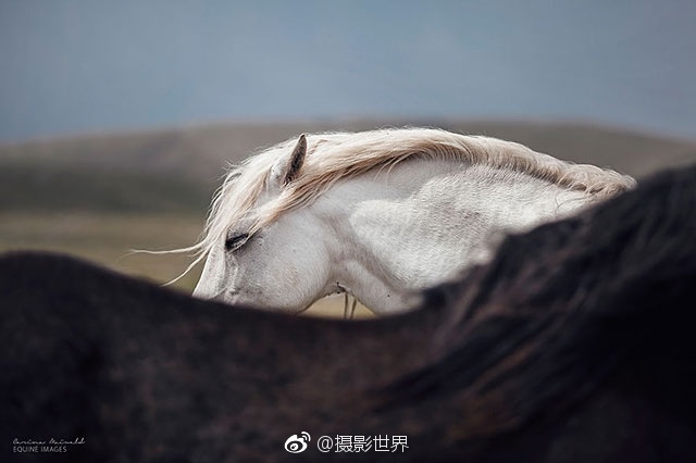 台灣學生做愛