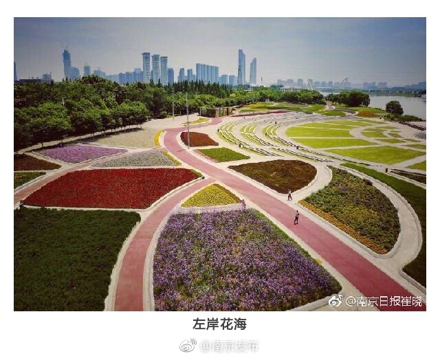 夫妻性生活黄色一级片