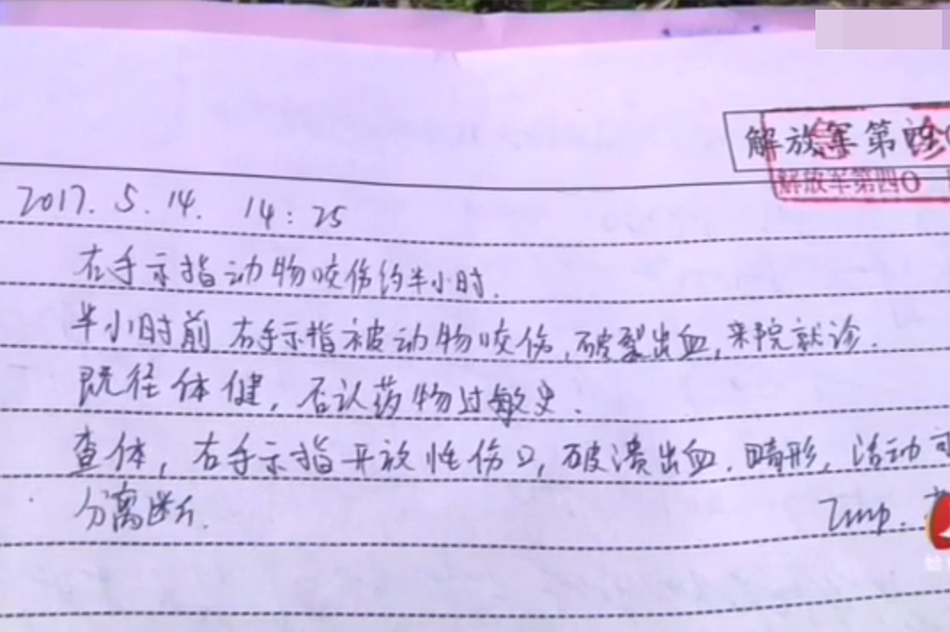 下载 黄色网站