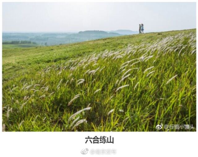 第一章豪妇荡乳黄淑珍的介绍