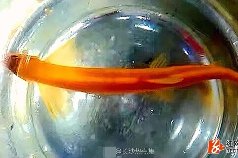 www亚洲精品