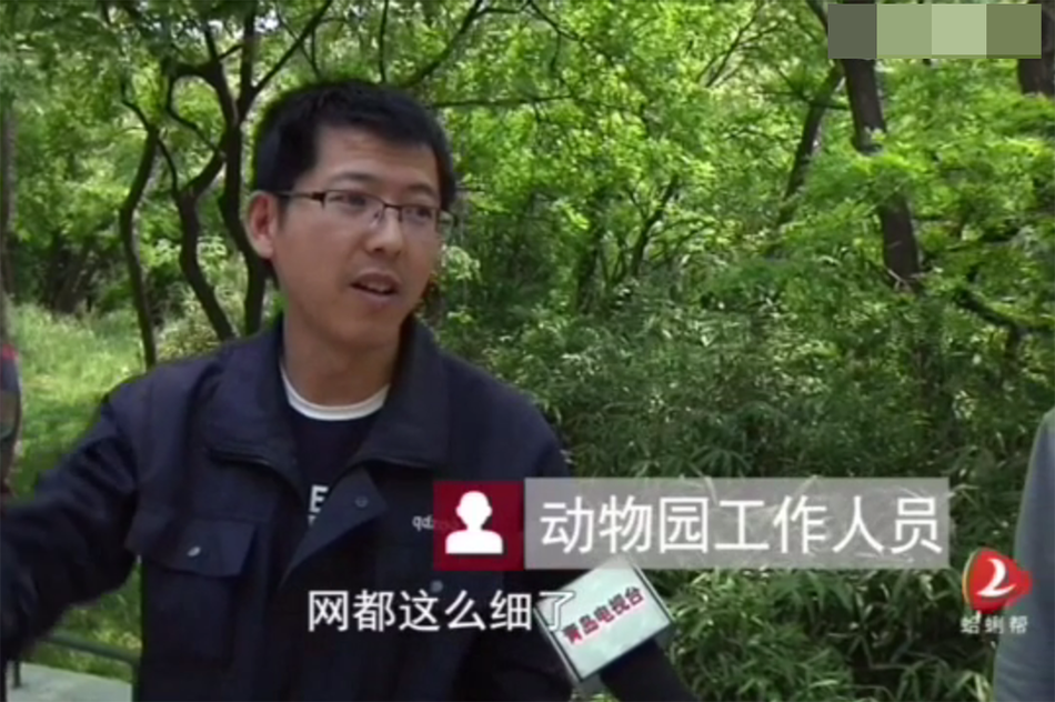 国产熟女操屄自拍
