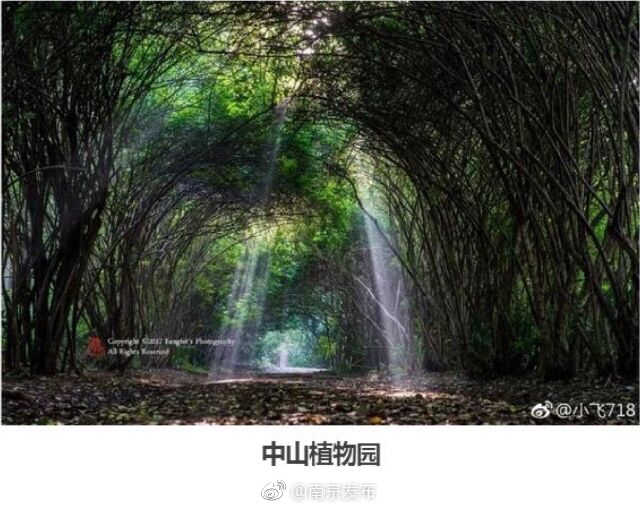 全黄网站动漫