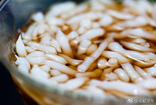 在线免费观看黄色视频高清版