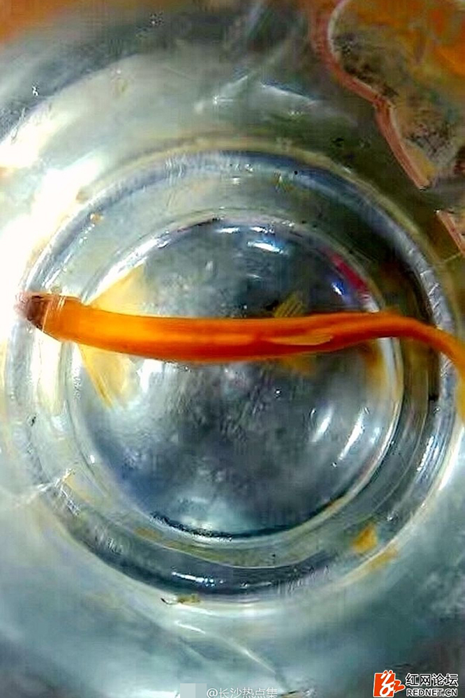 精品无码视频