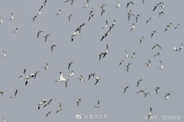 成人做爰黄AA片免费看三区