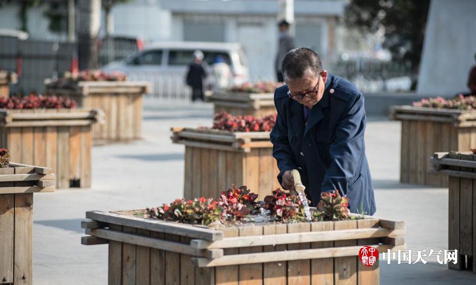 百分百露胸