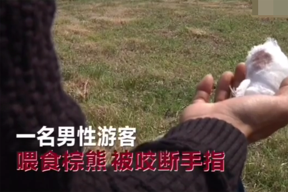 免费三级在线特大黄色片欧美。
