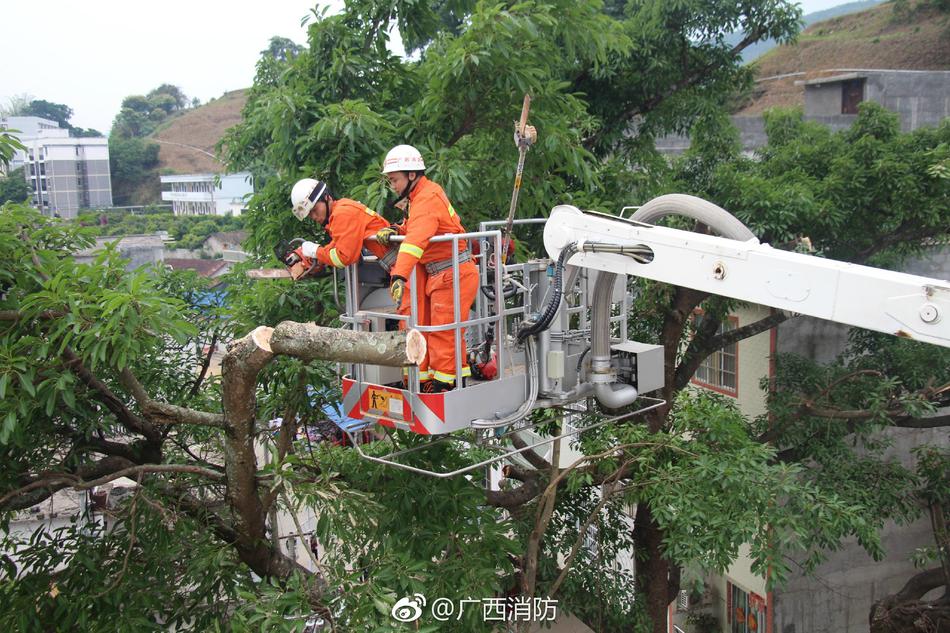 黄色网站免费的视频