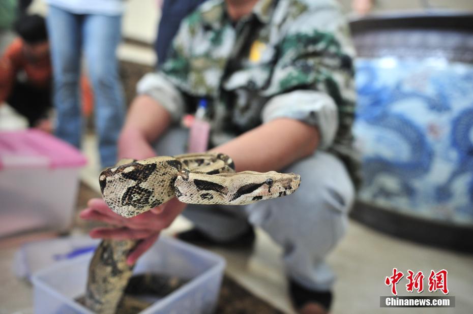 黄片影院