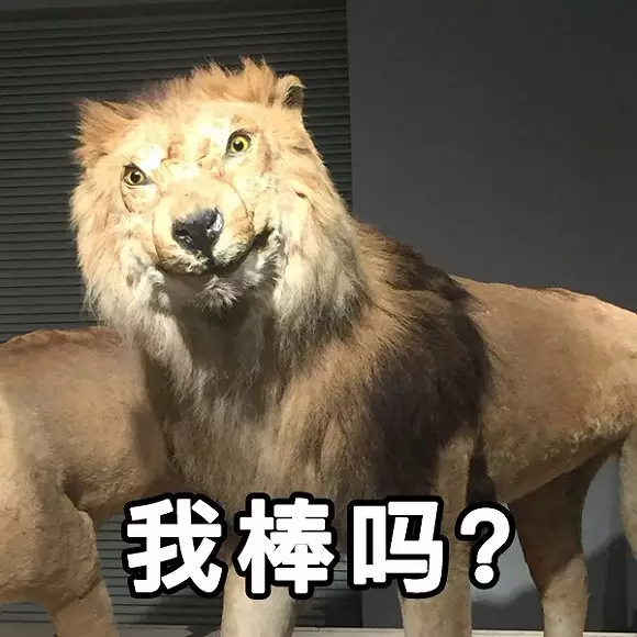 打屁股+脱裙子+趴下+打屁股