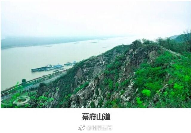 老太奶性BBAA片