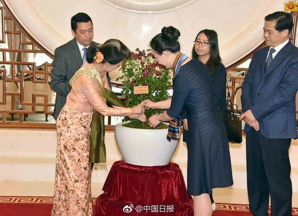 美国一级黄片