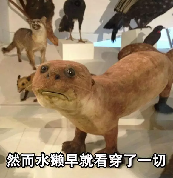 極樂群交
