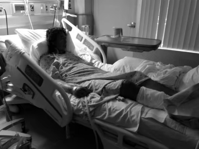 免费真人视频网站直播下载