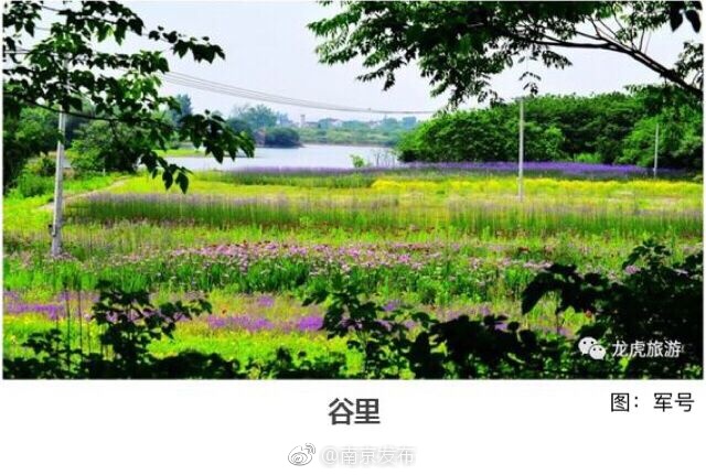 水多多高清影片