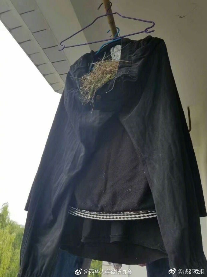 黄色视频