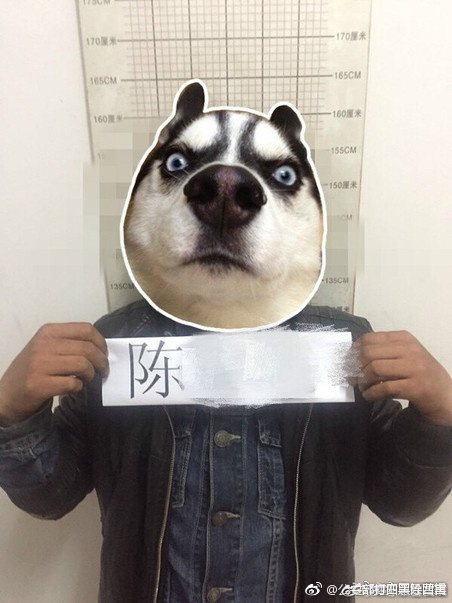 性爱免费视屏