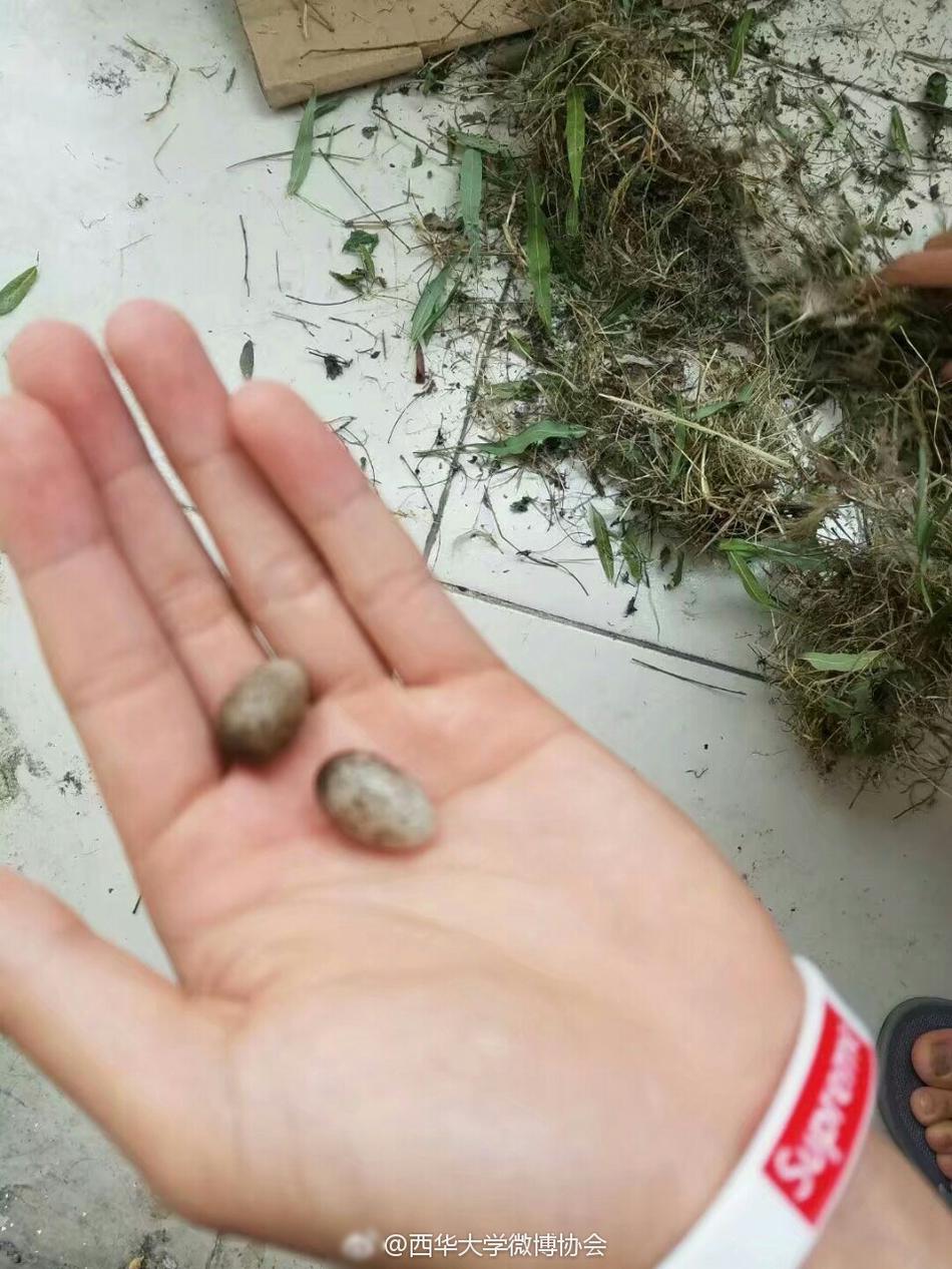 午夜人妻理论电影OL功勋获取