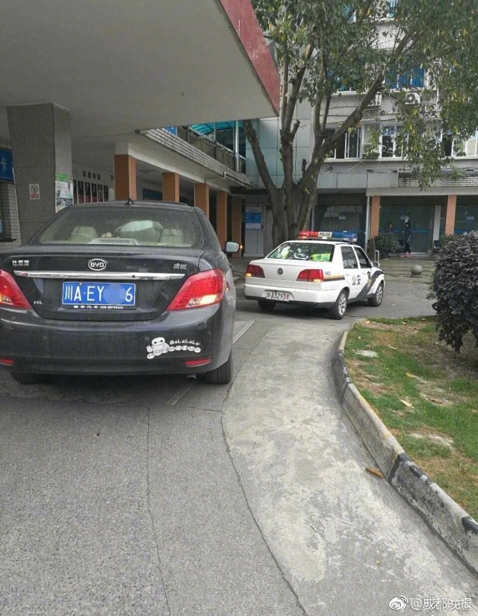 黄直播黄片视频