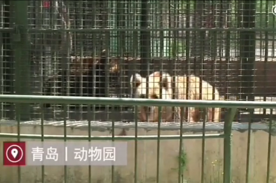 四虎无码