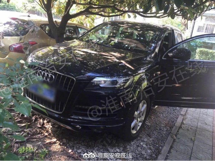 杨家将六郎艳福齐天小说简介