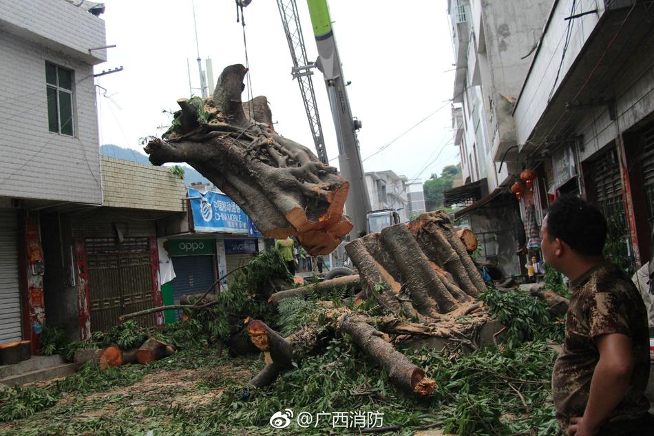 李丽珍无码性爱在线观看